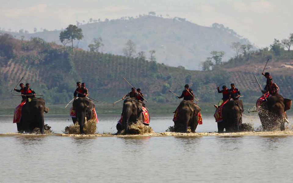 Dưới sự điều khiển của nài voi, các voi ganh đua quyết liệt trong cuộc đua dưới nước. (Ảnh: Dương Giang/TTXVN)
