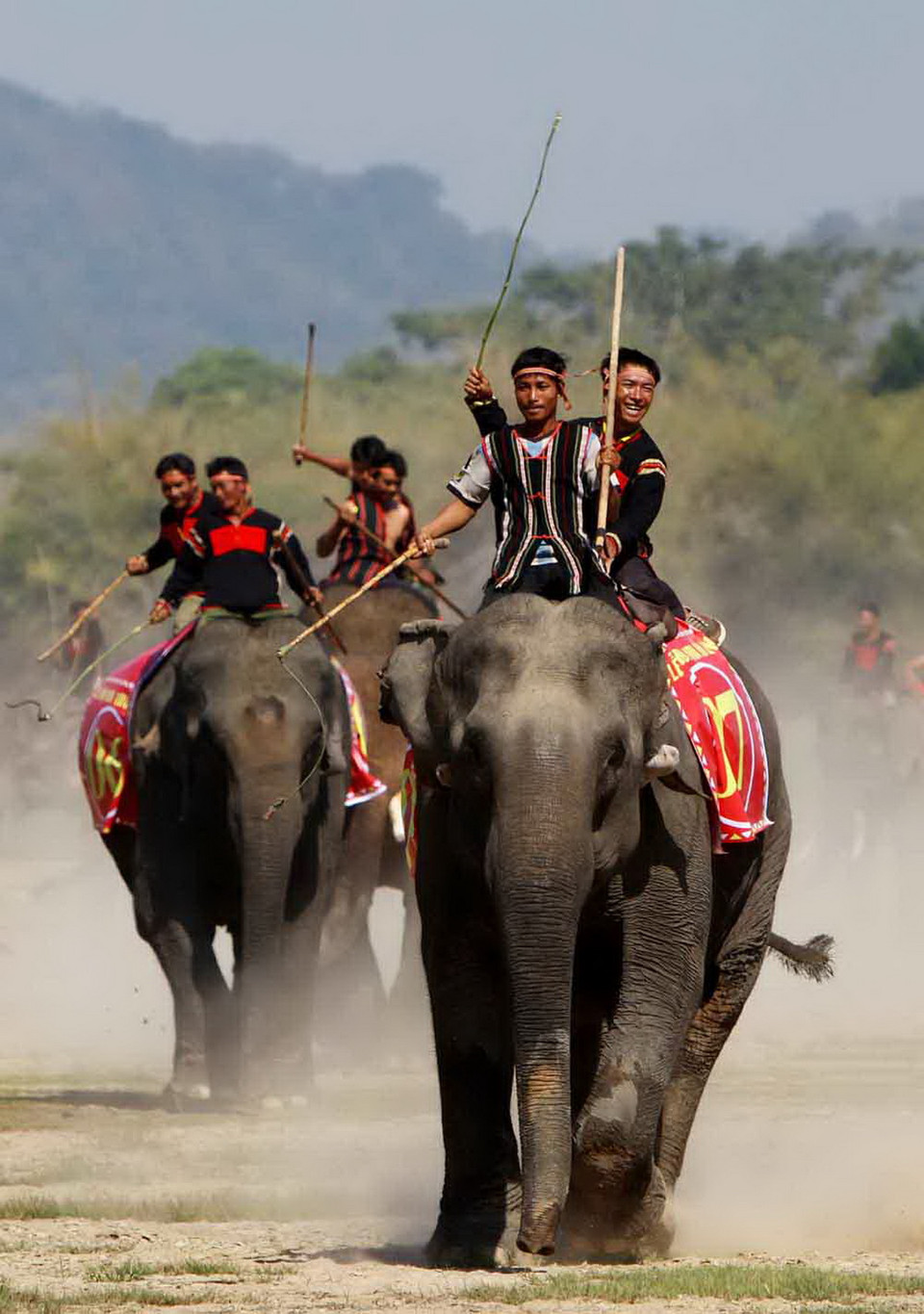 Voi đua trên cạn dưới sự điều khiển của nài voi. (Ảnh: Dương Giang/TTXVN) 