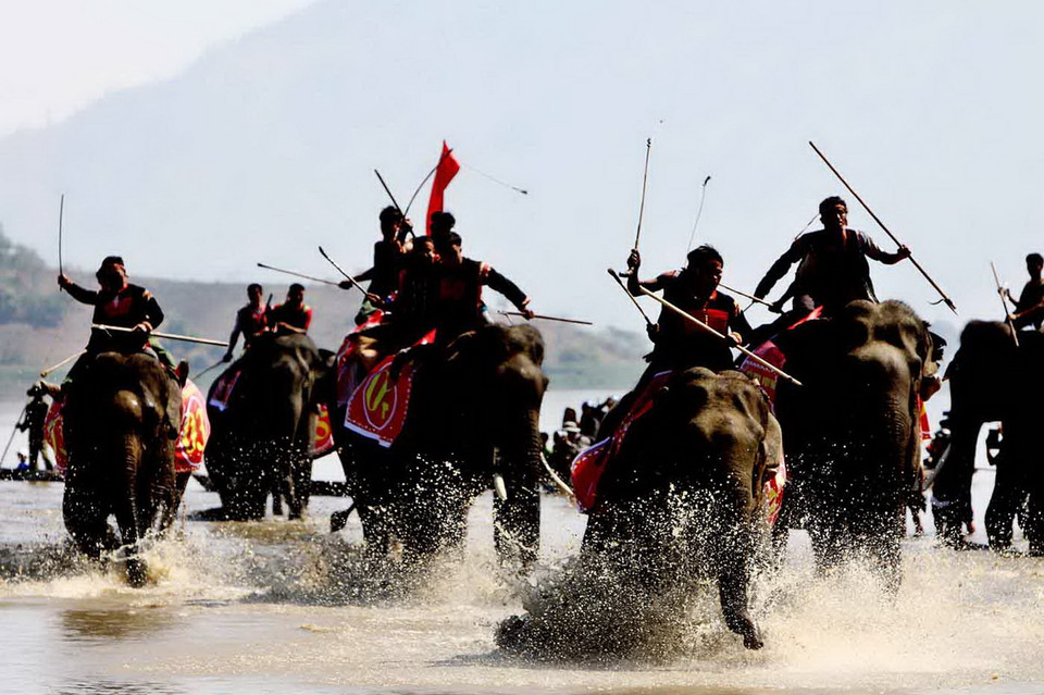 Dưới sự điều khiển của nài voi, các voi ganh đua quyết liệt. (Ảnh: Dương Giang/TTXVN) 