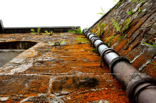 Trực thăng của Quân chủng Phòng không không quân huấn luyện bắn phá mục tiêu. (Ảnh: Trọng Đức - TTXVN)