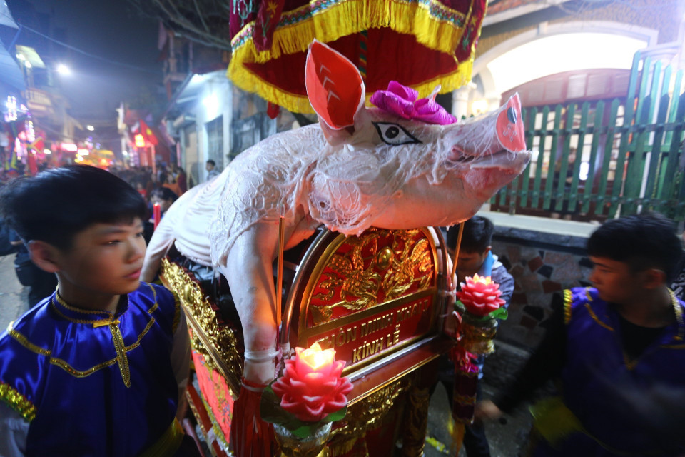 Năm Kỷ Hợi(2019), 17 Ông Lợn có trọng lượng hàng trăm kg từ các thôn, xóm trong làng sẽ được rước ra đình làng La Phù. (Ảnh: Danh Lam/TTXVN)