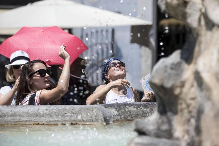 (Ảnh: Trương Anh Ngọc/Vietnam+)