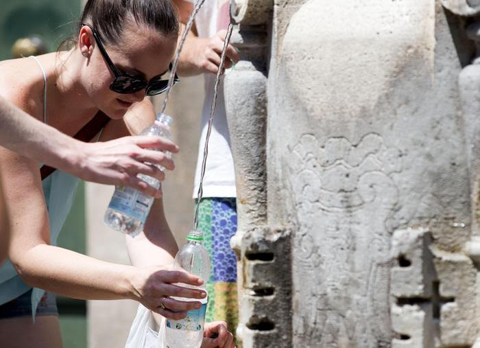 (Ảnh: Trương Anh Ngọc/Vietnam+)