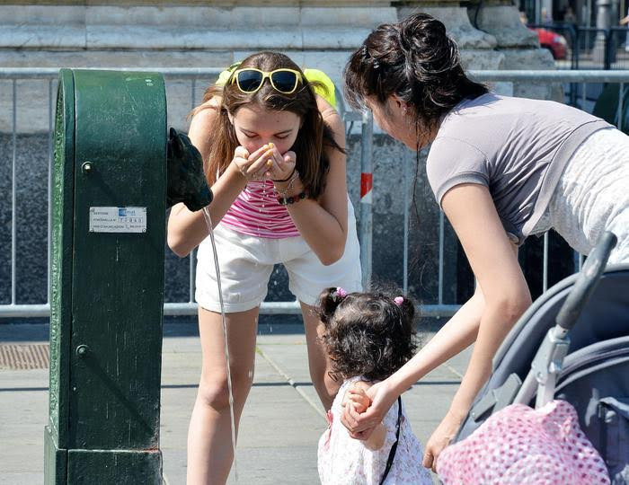 (Ảnh: Trương Anh Ngọc/Vietnam+)