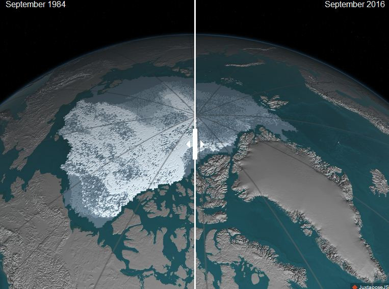 Băng ở biển Bắc Cực giảm về độ dày. (Nguồn: indy100.com)