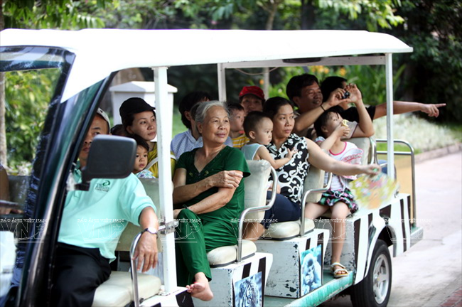 Du khách tham quan Thảo Cầm viên bằng xe điện. (Ảnh: Lê Minh/Báo ảnh Việt Nam)