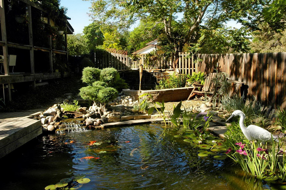 Một bể cá ở vườn. (Nguồn: The Denver Post)