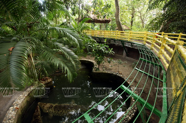 Một góc khu bảo tồn cá sấu. (Ảnh: Lê Minh/Báo ảnh Việt Nam)