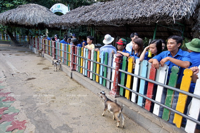 Khách tham qua khu nuôi dê. (Ảnh: Lê Minh/Báo ảnh Việt Nam)