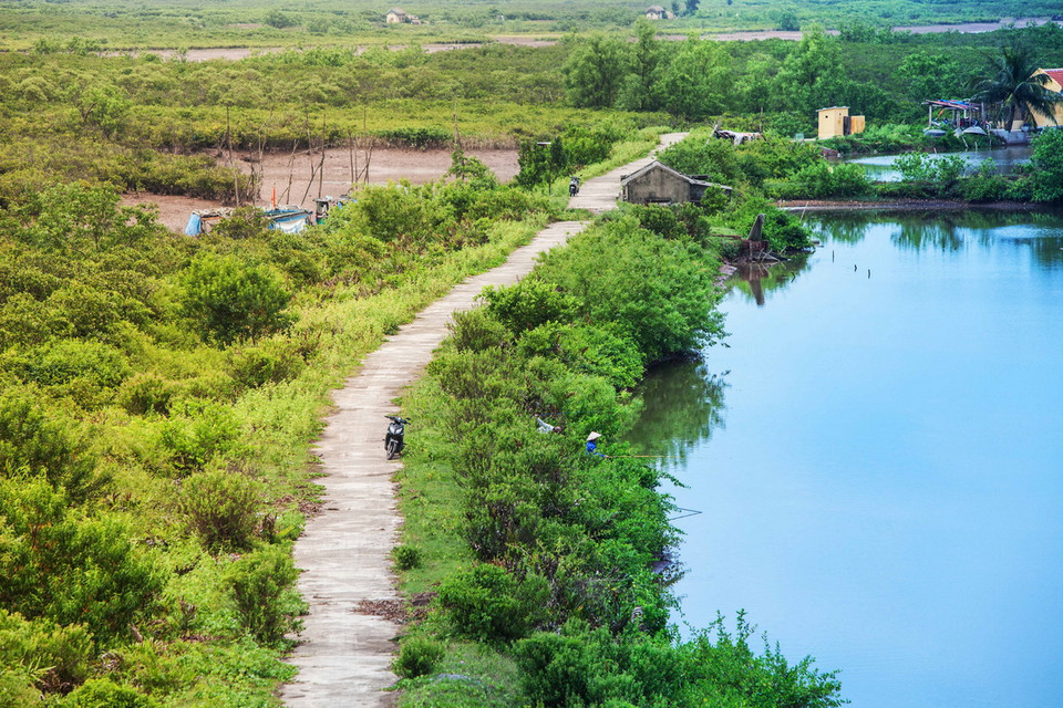  Vườn quốc gia Xuân Thủy (Nam Định) là vùng bãi bồi rộng lớn nằm ở phía Nam cửa sông Hồng, cách Hà Nội khoảng 150km về hướng Đông Nam, có tổng diện tích tự nhiên là 7.100ha. (Ảnh: Trọng Đạt/TTXVN)