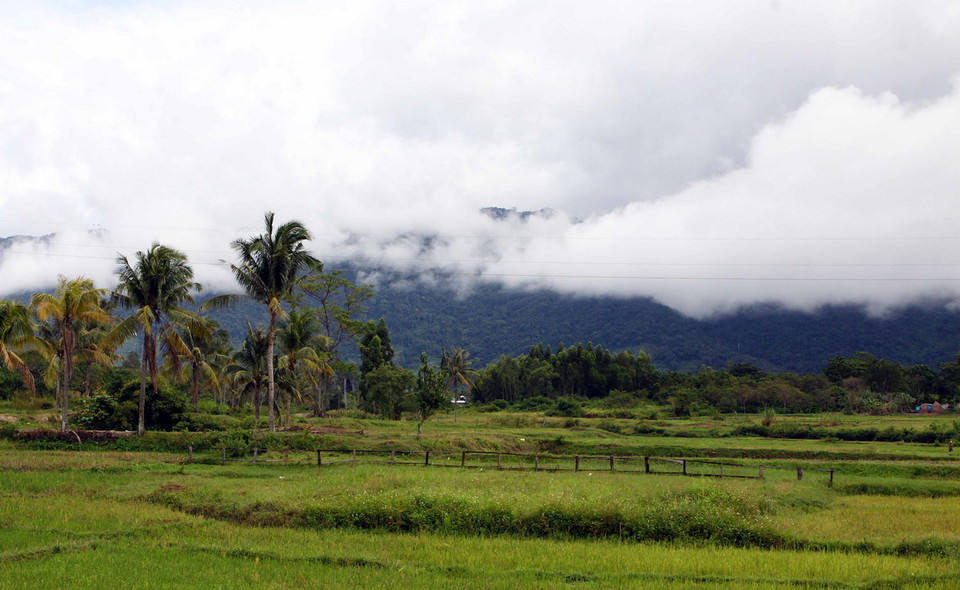Dãy núi Chư Yang Sin hùng vĩ bốn mùa mây bao phủ. (Ảnh: Dương Giang/TTXVN)