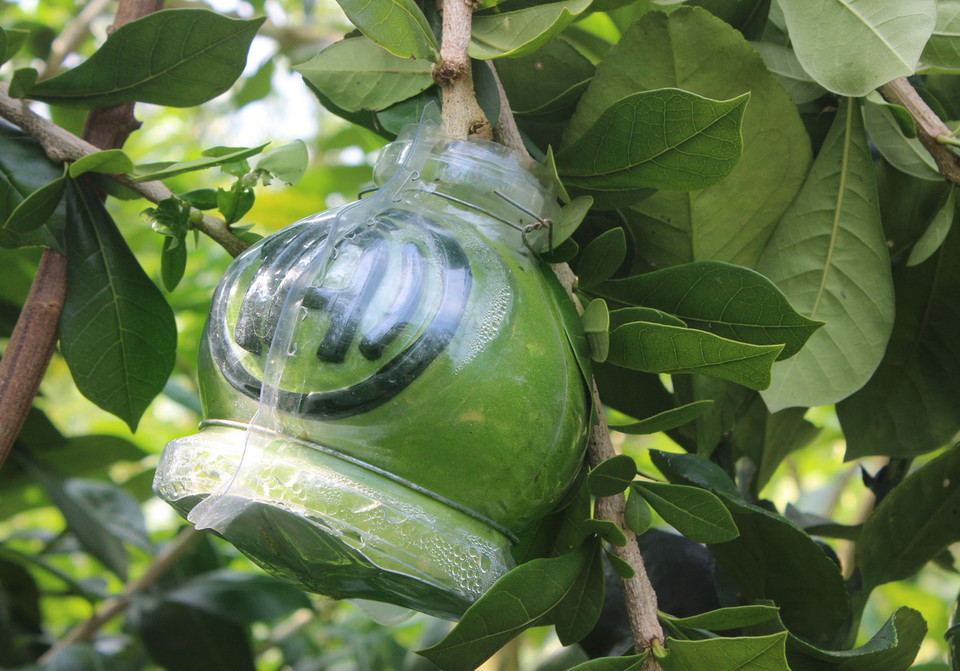 Hoa hậu Canada đóng vai thành một vận động viên khúc gôn cầu với họa tiết là các bảng điểm và gậy đánh bóng. Tạo kiểu tóc của cô cũng tượng trưng chiếc cúp của cuộc thi. Đây là môn thể thao mùa đông chính thức của Canada. (Nguồn: Dailymail.co.uk)