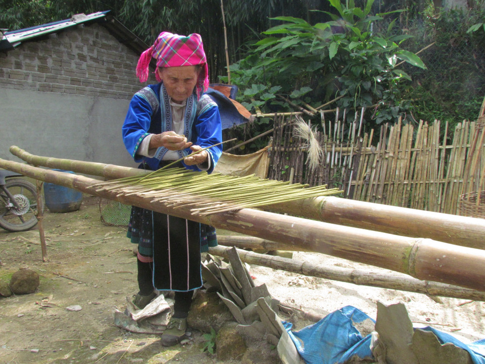 Bà Thào Thị Nhừ, dân tộc Mông, 90 tuổi, ở bản Dền Thàng A, xã Dào San, huyện Phong Thổ (Lai Châu) phơi hương cho khô. (Ảnh: Việt Hoàng/TTXVN)