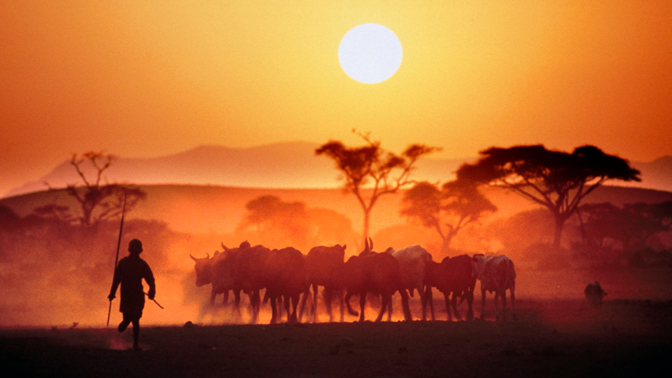 Kenya: Đây là điểm đến đích thực dành cho những ai muốn du lịch mạo hiểm. Từ những khu bảo tồn hoang dã, núi tuyết, thảo nguyên tới biển vàng, tất cả đều có thể tìm thấy ở quốc gia châu Phi này.