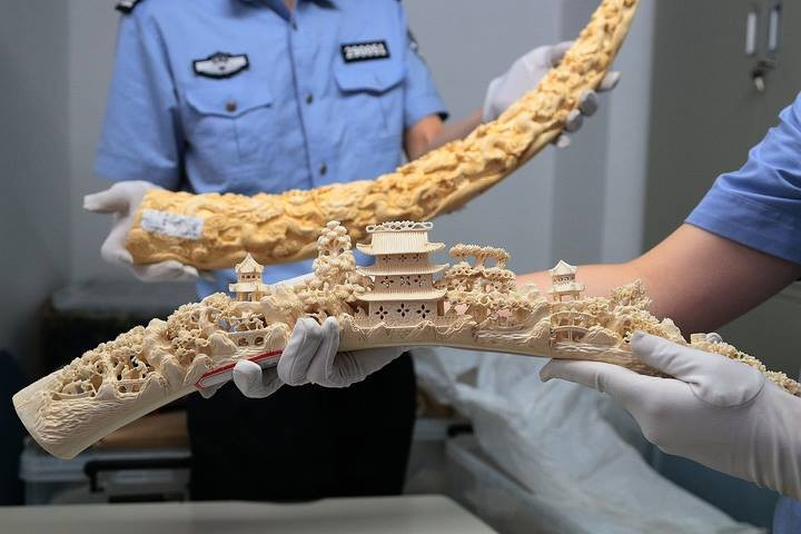 Những hiện vật này bị thu giữ khi đang được vận chuyển qua đường hàng không và bưu điện. (Nguồn: CCTVNews)