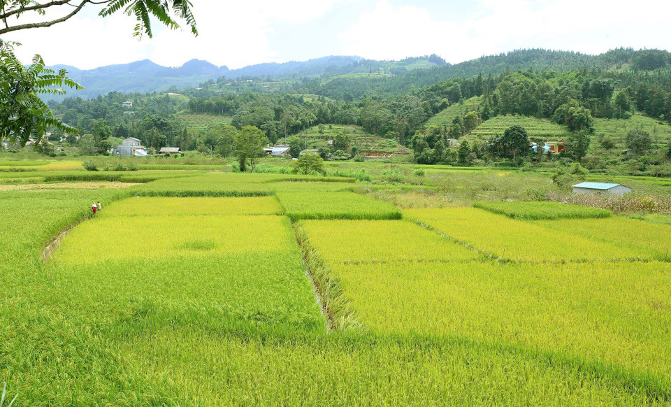 Khung cảnh tuyệt đẹp nơi cao nguyên Bắc Hà để lại cho du khách những ấn tượng khó quên. (Ảnh: Quốc Khánh/TTXVN)