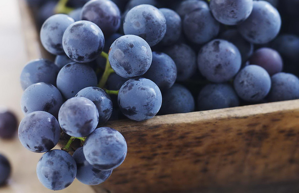 Nho đỏ. (Nguồn: Getty Images)