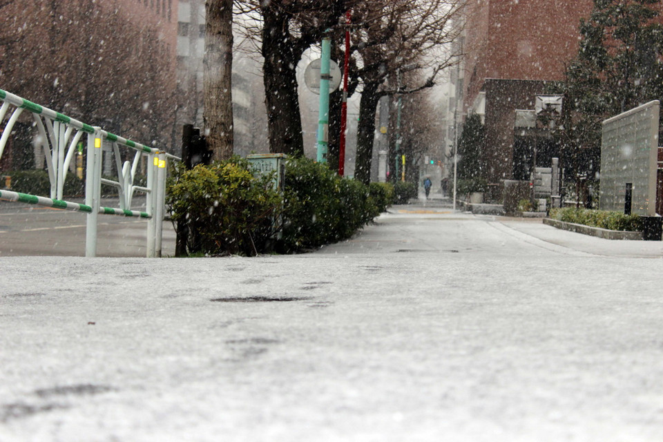 Tokyo trong mưa tuyết và giá rét. (Ảnh: Hữu Thắng/TTXVN) 