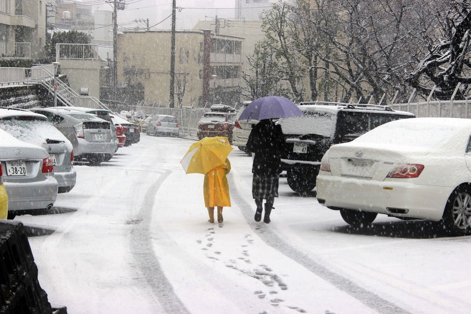 Tokyo trong mưa tuyết và giá rét. (Ảnh: Hữu Thắng/TTXVN) 