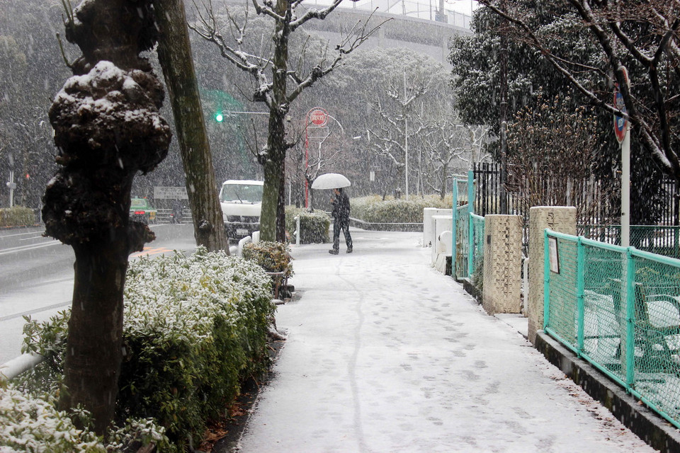 Tokyo trong mưa tuyết và giá rét. (Ảnh: Hữu Thắng/TTXVN)