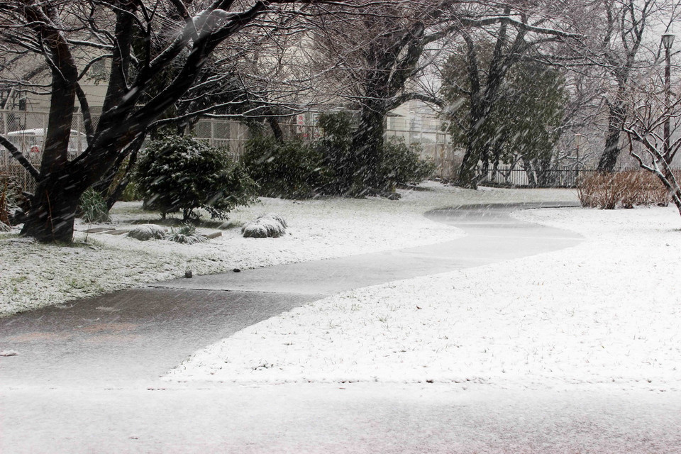 Tokyo trong mưa tuyết và giá rét. (Ảnh: Hữu Thắng/TTXVN) 