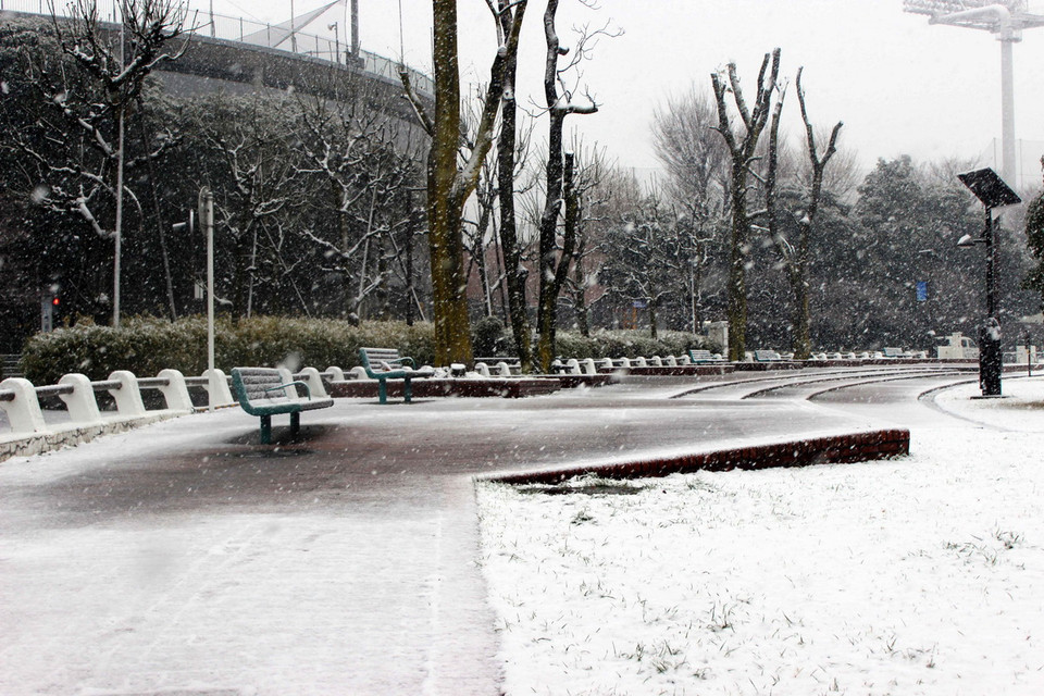 Công viên Tokyo vắng lặng trong mưa tuyết và giá rét. (Ảnh: Hữu Thắng/TTXVN)