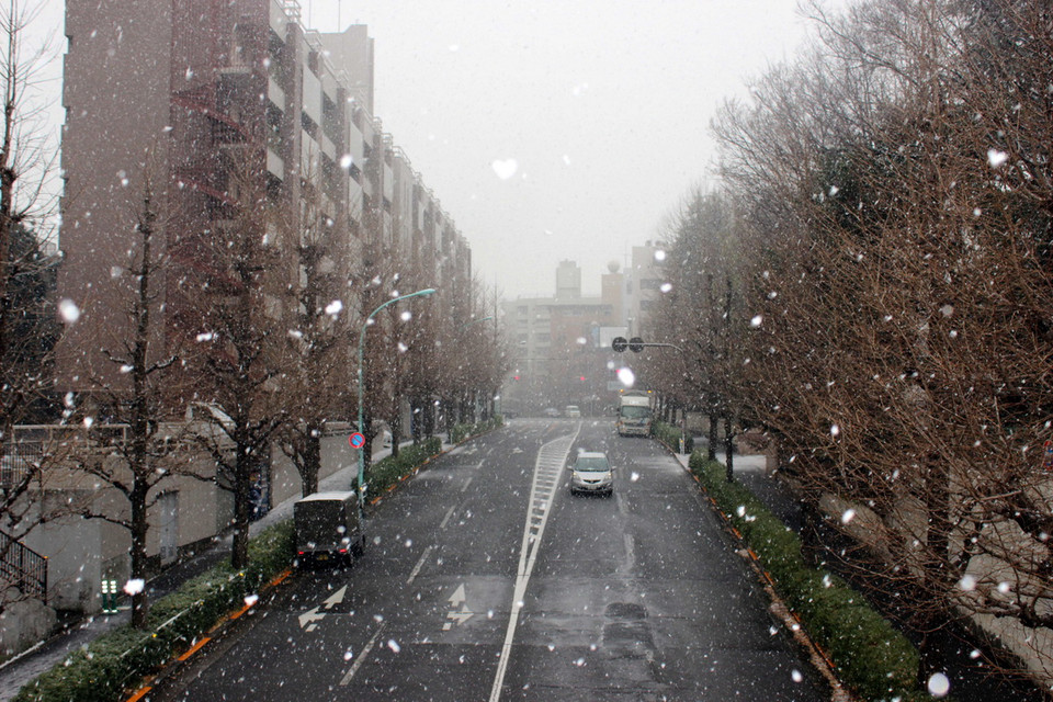 Tokyo trong mưa tuyết và giá rét. (Ảnh: Hữu Thắng/TTXVN) 