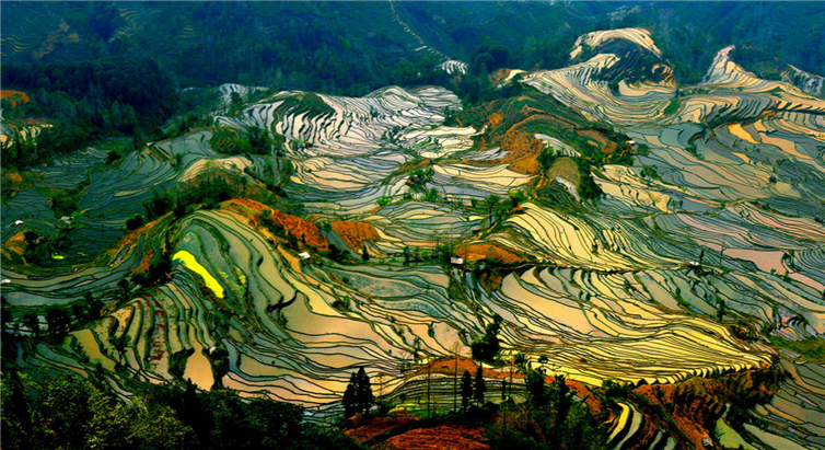 Lung linh ruộng bậc thang tại tỉnh Vân Nam, Trung Quốc. (Nguồn: flickr / ebin Tang)