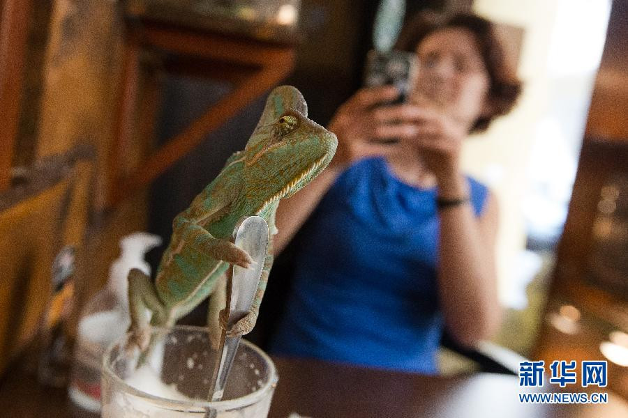 Quán càphê vườn thú tại Budapest, Hungary.