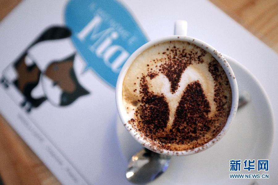 Quán càphê phục vụ cả những khách hàng là mèo tại Turin, Italy. 