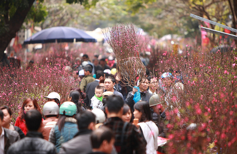 Chợ hoa Hàng Lược, Hà Nội. (Ảnh: Phạm Kiên/TTXVN) 