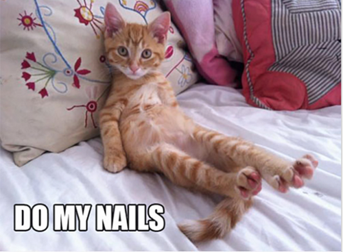 Làm nail xong là phải ngồi như này nó mới chóng khô được!