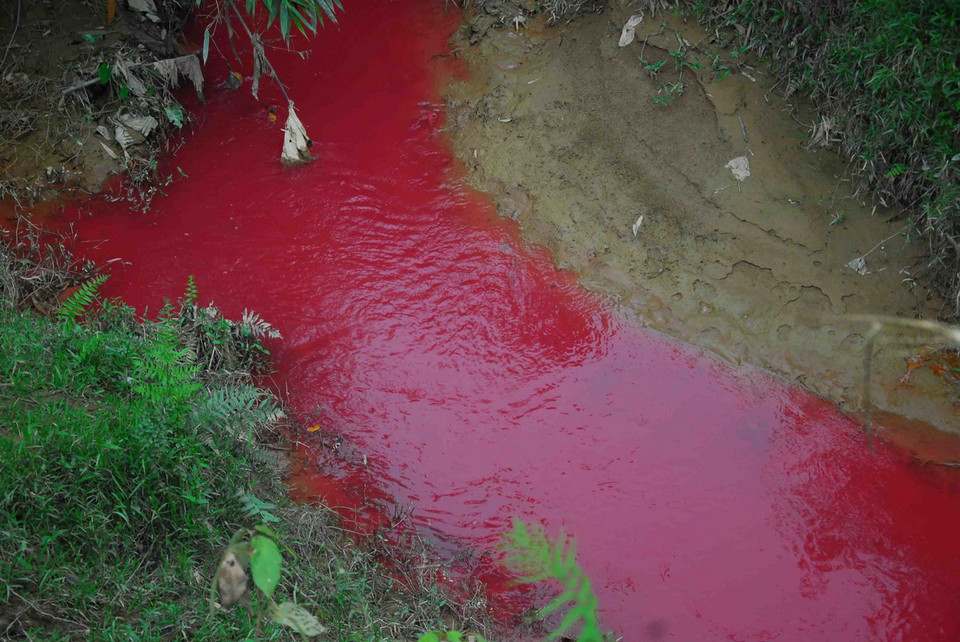 Lòng suối chuyển sang màu đỏ. (Ảnh: Xuân Tư/TTXVN) 