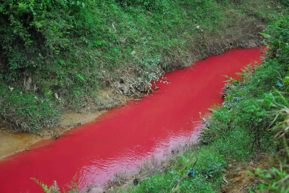 Sau khi nhận nguồn tin của nhân dân phản ánh, lực lượng công an cùng Phòng Tài nguyên Môi trường huyện Điện Biên đã có mặt tại hiện trường để điều tra làm rõ nguyên nhân. 