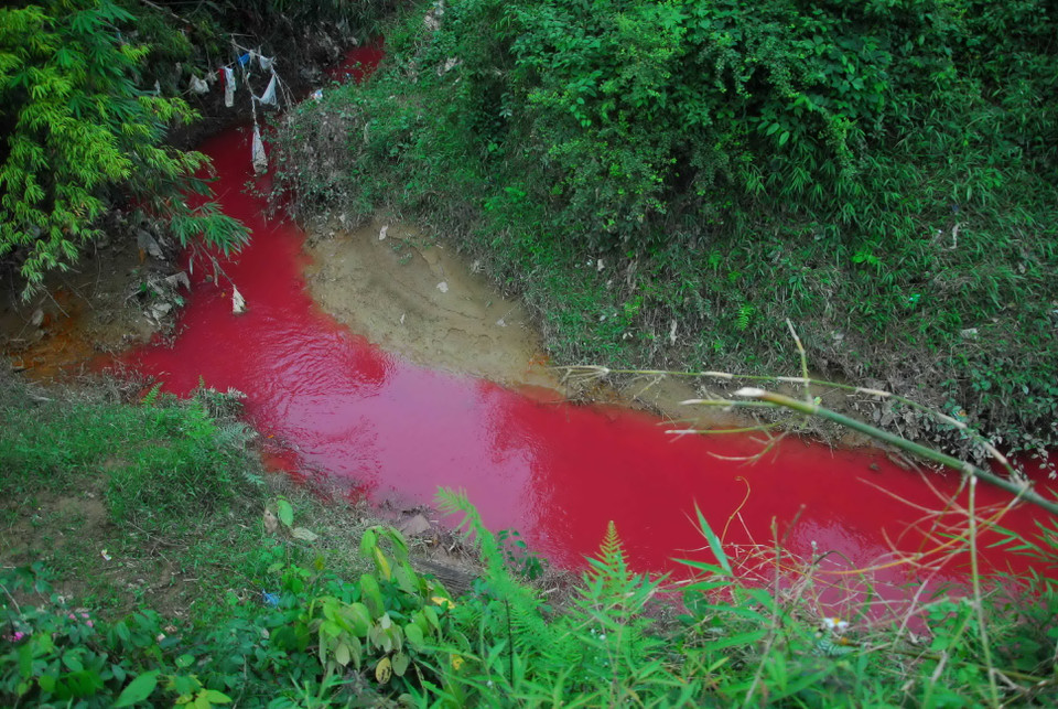 Hiện, cơ quan môi trường địa phương đang tiến hành trục vớt bao hóa chất nghi độc hại lên để xử lý. Đồng thời, tiến hành lấy mẫu nước để phục vụ công tác điều tra.