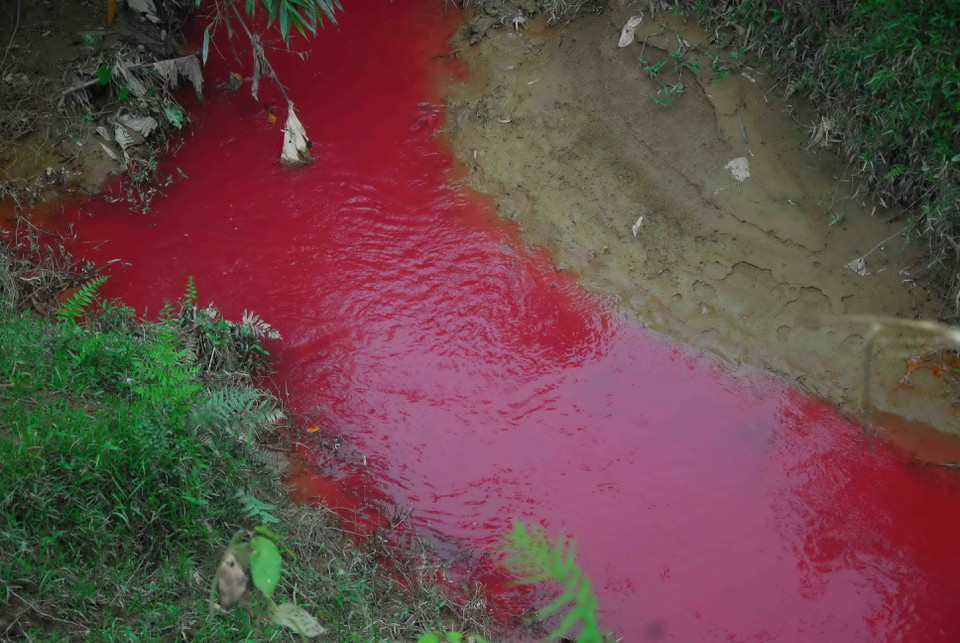 Nguyên nhân ban đầu được xác định là do túi nilông chứa hóa chất bị vứt xuống lòng suối đoạn cầu Nậm Khếnh, thuộc Đội 18, xã Thanh Hưng.