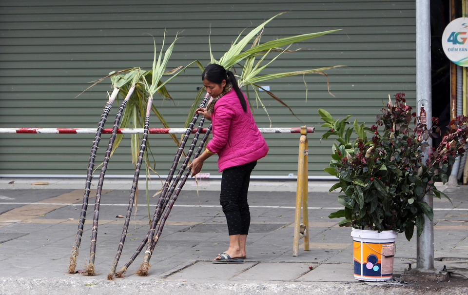 Những cây mía, cành hoa được chuẩn bị bán cho người dân mua lấy may sau giơ phút giao thừa. (Ảnh: Quốc Khánh/TTXVN)