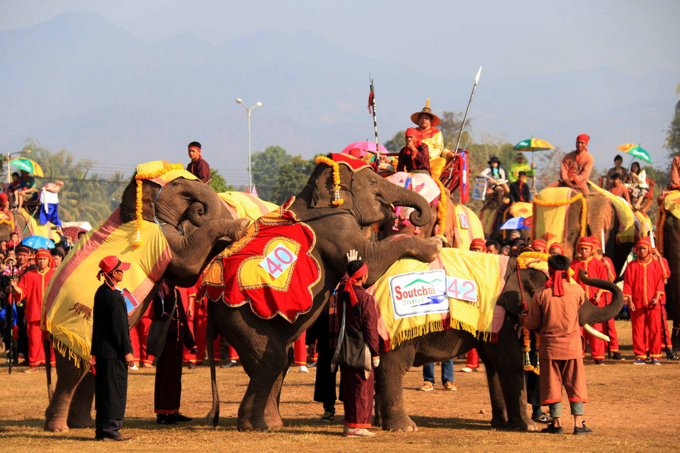 Các chú voi con đang chơi trò 'nhảy ngựa' theo hiệu lệnh của nài. (Ảnh: Phạm Kiên/Vietnam+)