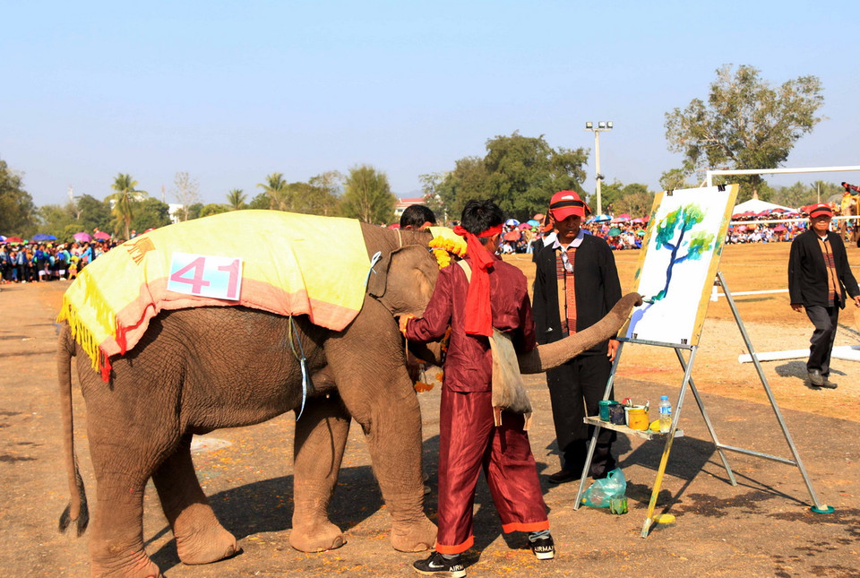 Một chú voi đang thi triển tài vẽ tranh tại lễ hội. (Ảnh: Phạm Kiên/Vietnam+)