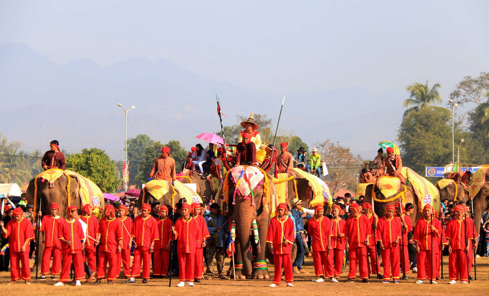 Những chú voi chiến được trang trí rất đẹp và uy nghi. (Ảnh: Phạm Kiên/Vietnam+)