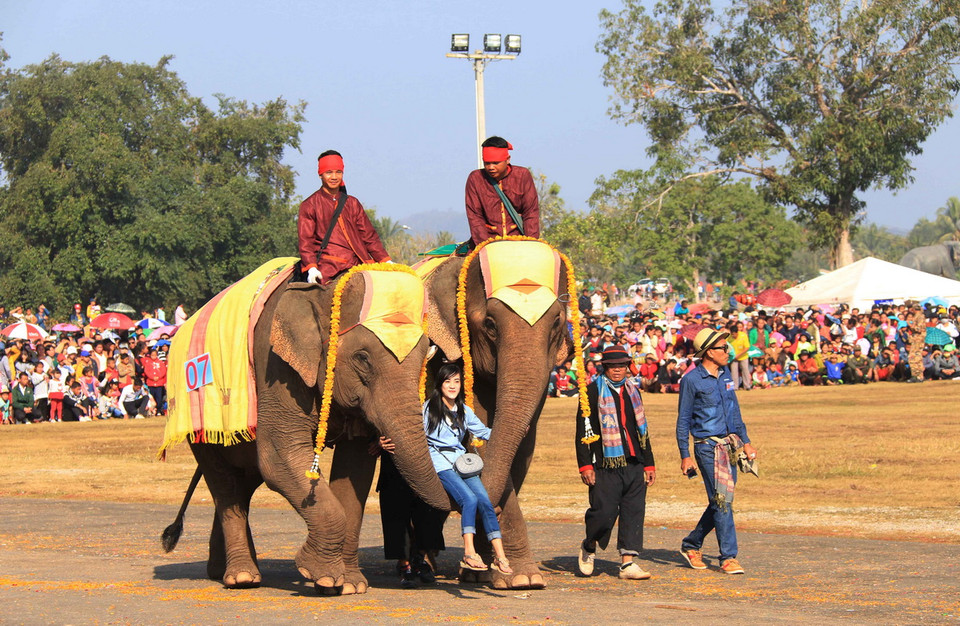 Một du khách đang trải nghiệm cảm giác ngồi trên 'xích đu' vòi voi tại lễ hội. (Ảnh: Phạm Kiên/Vietnam+)