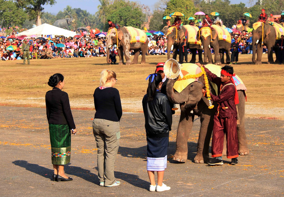 Một chú voi đang thực hiện nghi lễ chọn hoa hậu tại lễ hội. (Ảnh: Phạm Kiên/Vietnam+)