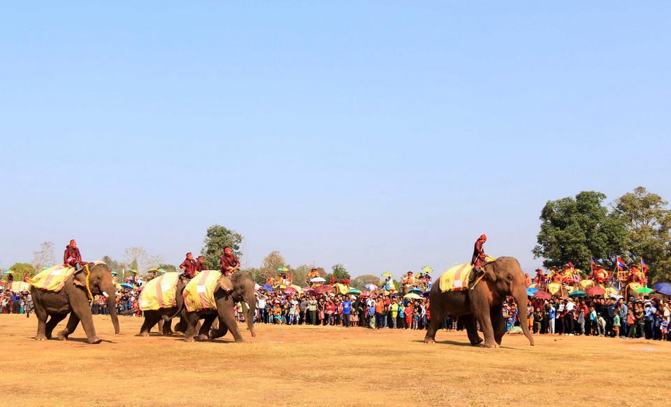 Màn đua voi đầy hấp dẫn tại lễ hội. (Ảnh: Phạm Kiên/Vietnam+)