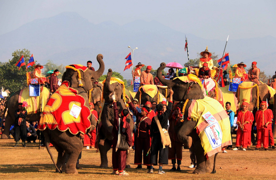 Ba chú voi con đang biểu diễn kỹ năng đứng theo hiệu lệnh của nài. (Ảnh: Phạm Kiên/Vietnam+)