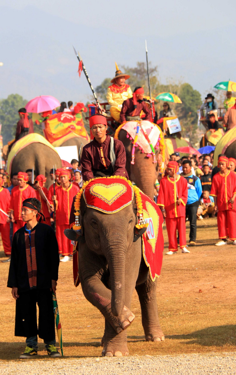 Một chú voi đang thực hiện nghi lễ chào quan khách tham dự lễ hội. (Ảnh: Phạm Kiên/Vietnam+)