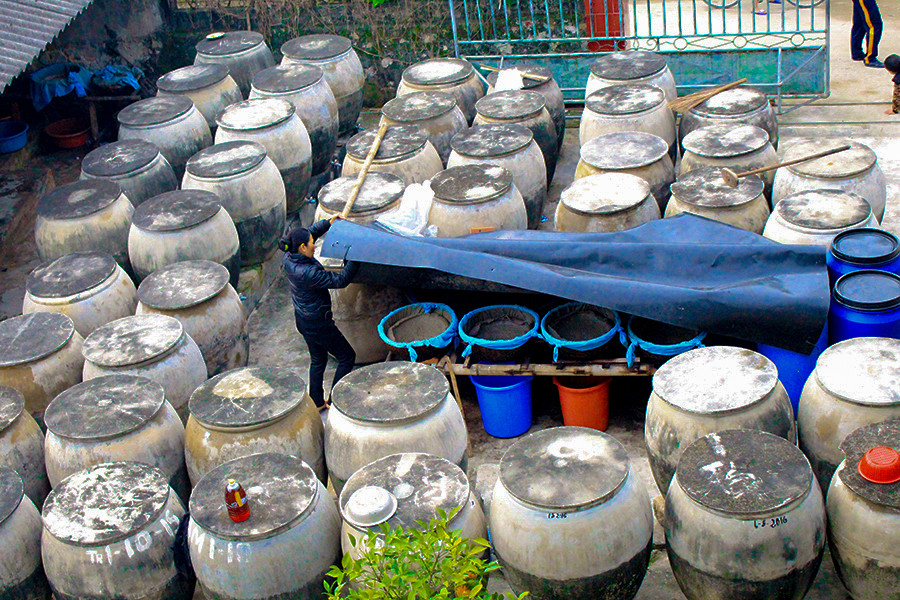 Người làm mắm tại Ba Làng đang hối hả rút nước mắm cốt, để kịp mùa cá cơm sắp tới. (Ảnh: Văn Quế/Vietnam+)