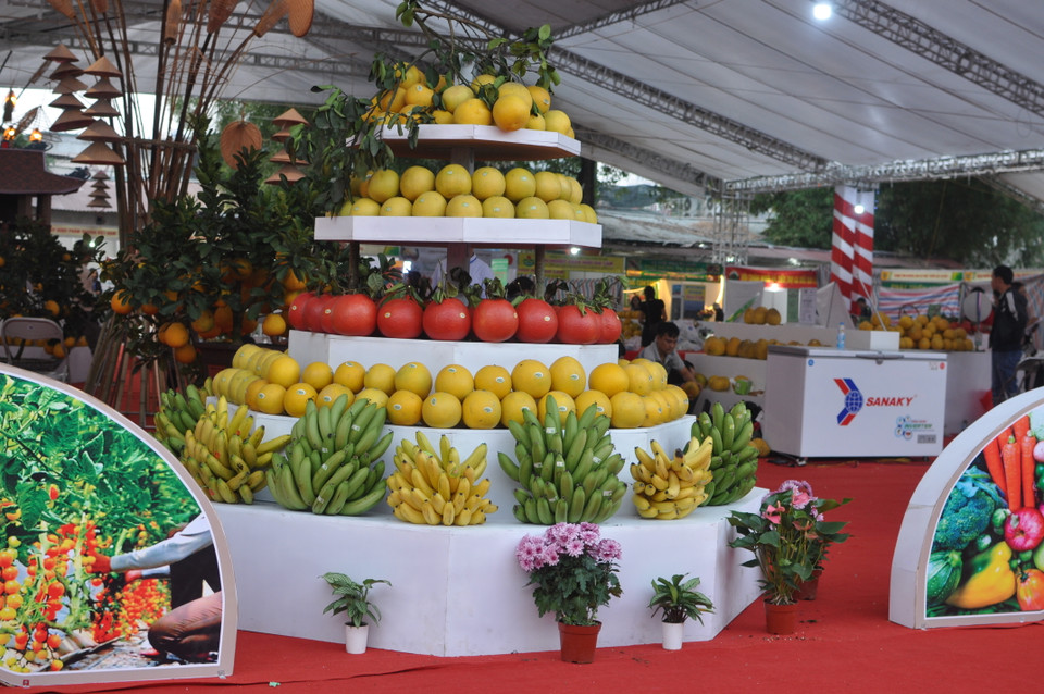  Các loại trái cây được trưng bày bắt mắt tại festival. (Ảnh: Việt Đức/Vietnam+)