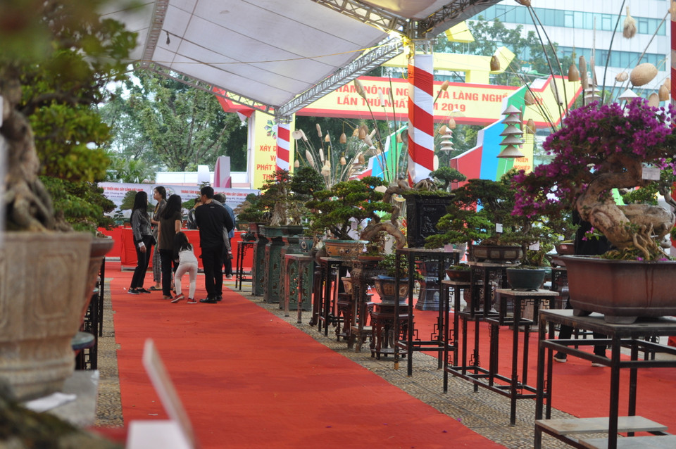 Khu triển lãm sản phẩm cây cảnh. (Ảnh: Việt Đức/Vietnam+)