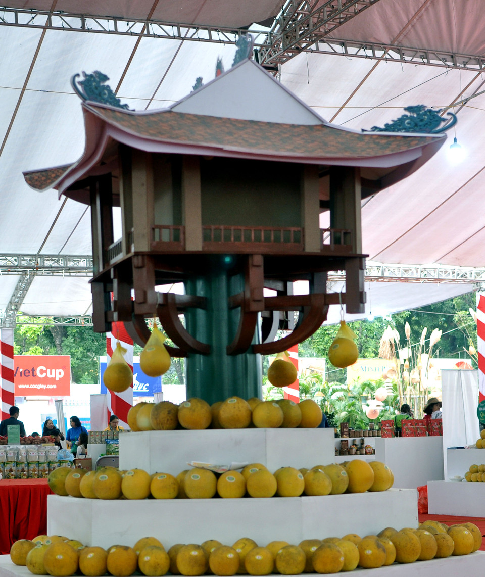 (Ảnh: Việt Đức/Vietnam+)