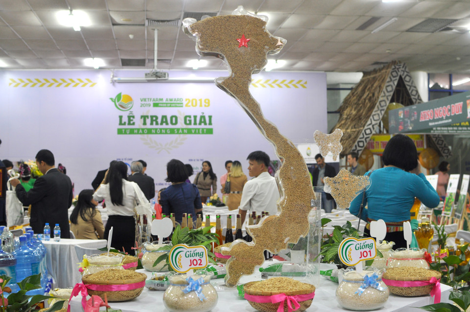 (Ảnh: Việt Đức/Vietnam+)